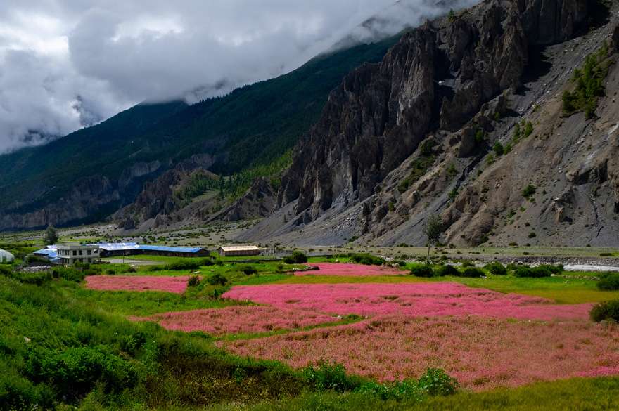 annapurna circuit trek 12 days 2025 nepal