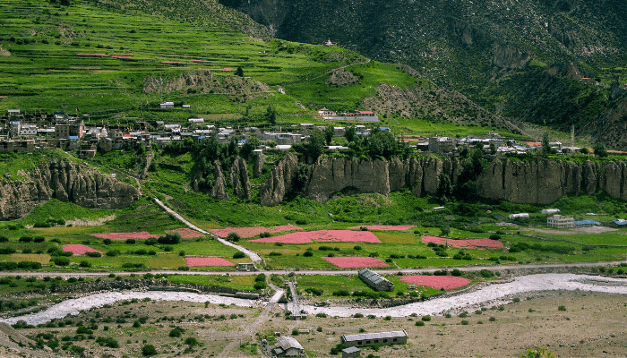 lush-valley-annapurna