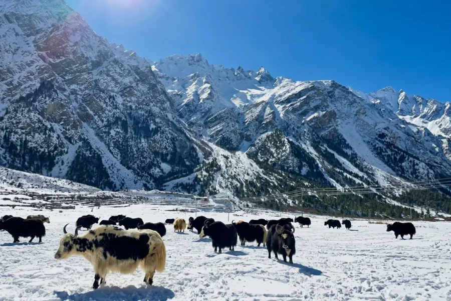 Limi Valley Trekking
