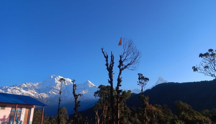 Mardi Himal Trek Cost