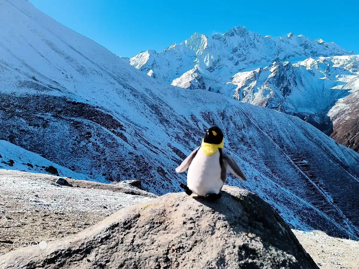 Langtang Valley Trek in September