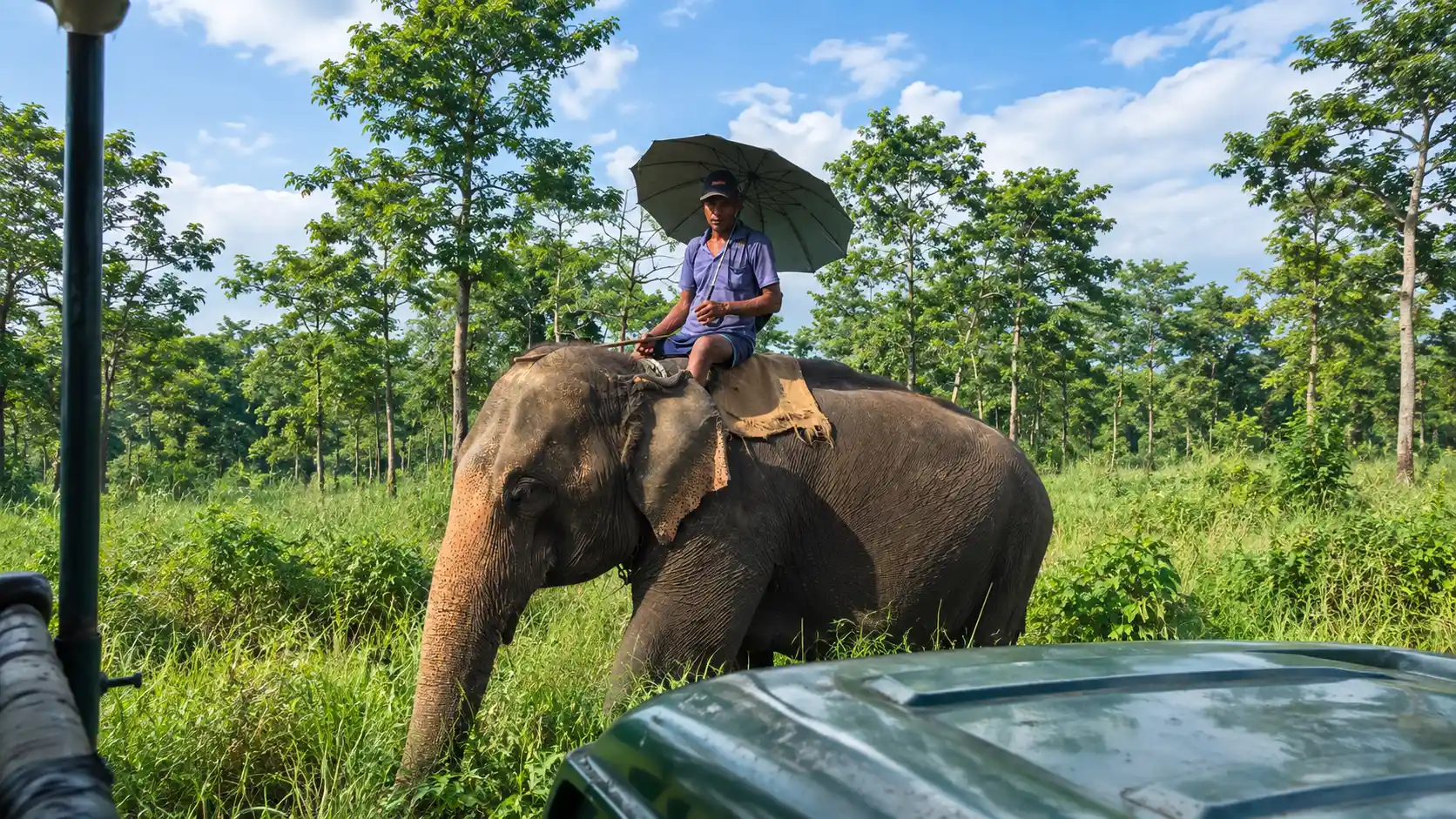 wildlife park Chitwan
